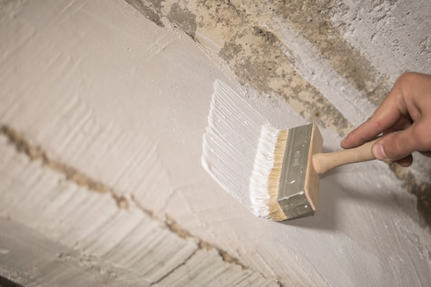 House painter paints the wall with white paint