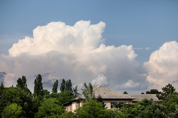 House roof in the green of the forest green city of europe natural and beautiful