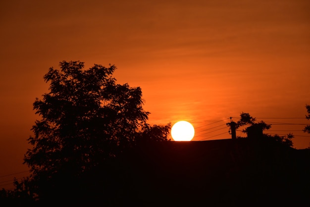 House at sunset. Cloudy sunset house. Evening. Tree and house at sunset