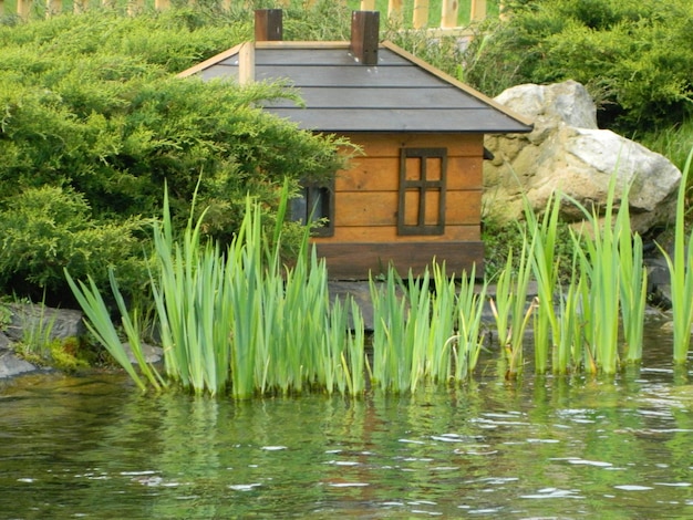 A house for swans on an artificial pond in the city park Duck house on the lake Wooden dwelling for waterfowl