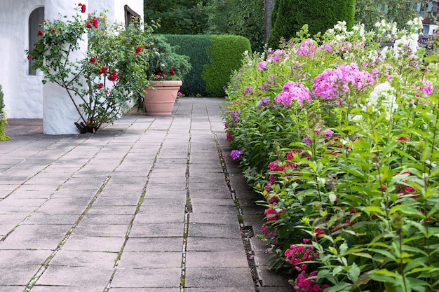 House territory decorated with phlox flowers, roses and hedges.