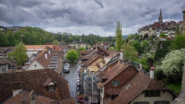 House Village With Natural View