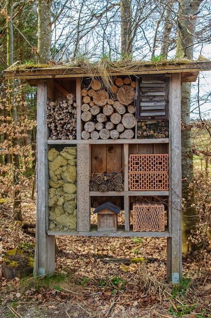 House for wintering insects Selective focus