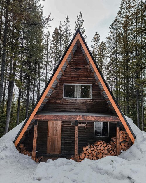 house with snowy pine trees in winter