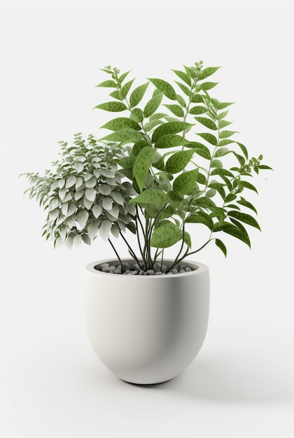 Houseplant in pot isolated white background interior design botanical concept Generative AI