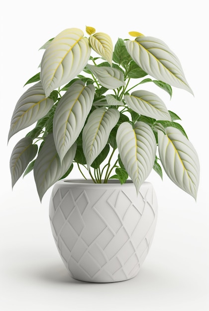 Houseplant in pot isolated white background interior design botanical concept Generative AI