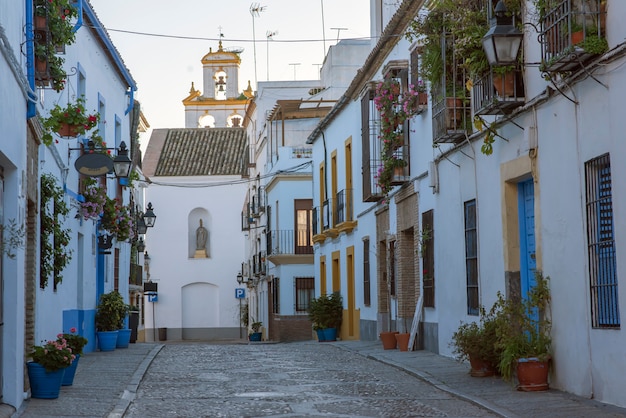 Houses in Andalucia and flowers in spring