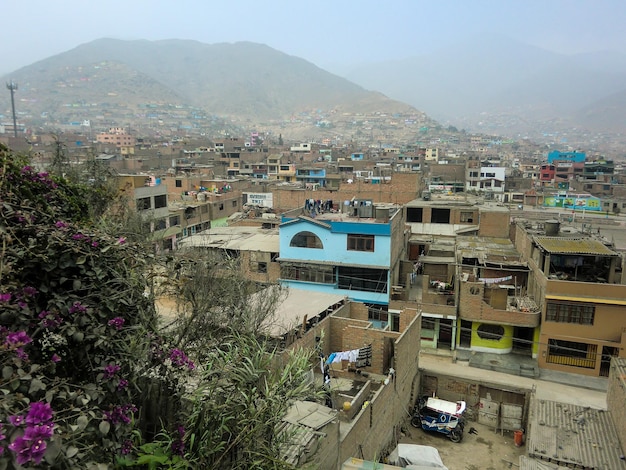 Houses of different construction materials in a low-income human settlement in Peru.