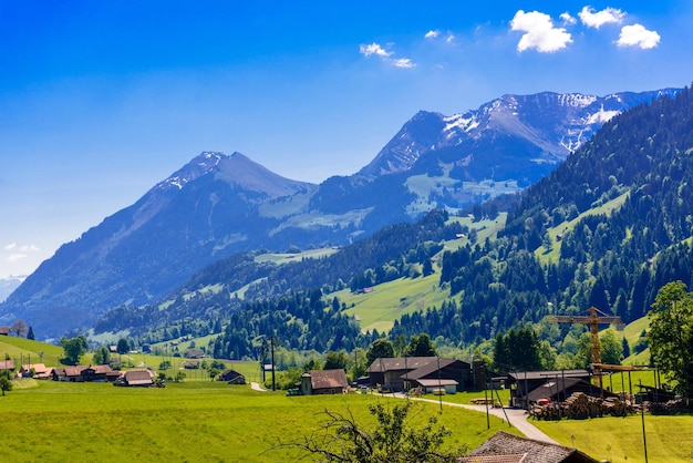 Houses and green meadows Darstetten FrutigenNiedersimmental