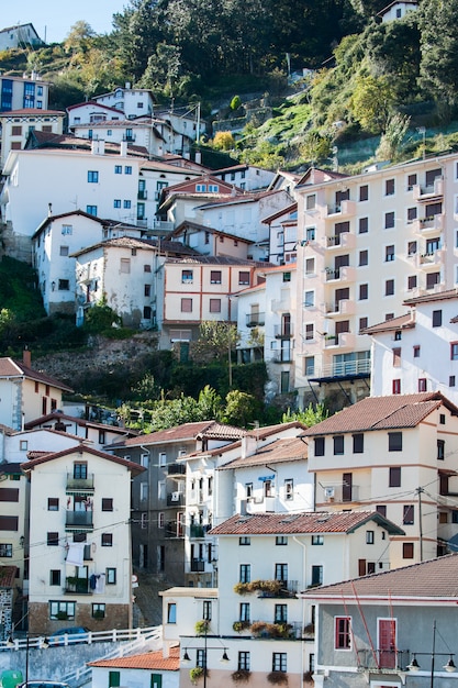 Houses in hillside of monte, basque country