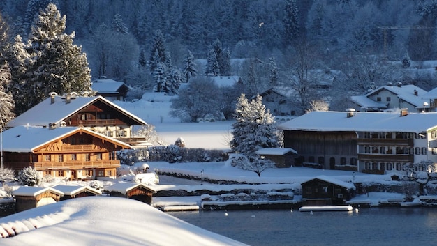 houses in the snow