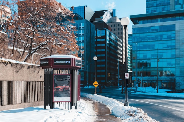 houses in the snow