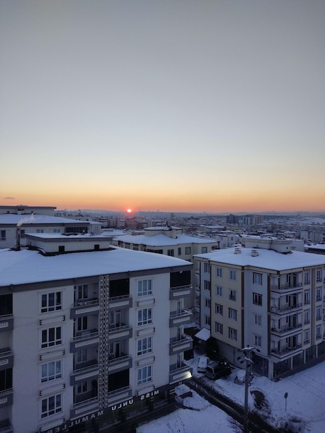 houses in the snow