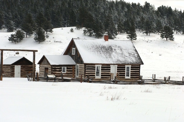 houses in the snow