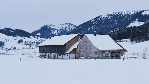 houses in the snow