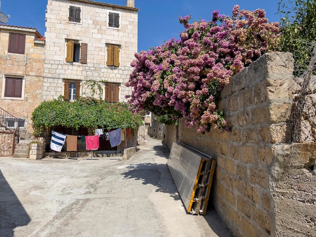 The houses of Vis with beautiful plants