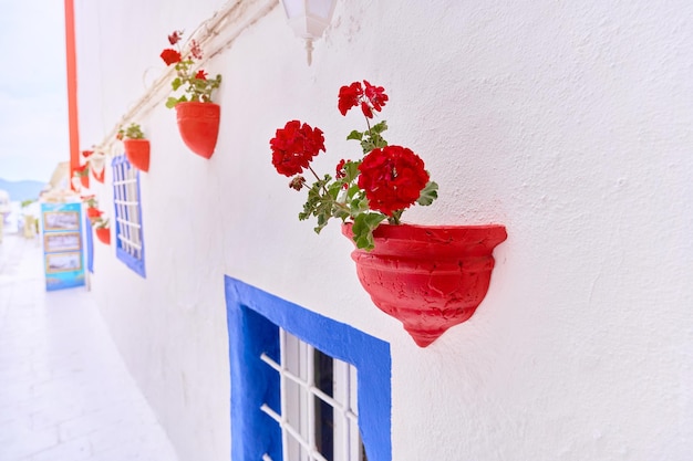 Houses with red flower pots on white walls on aegean street in Bodrum Turkey