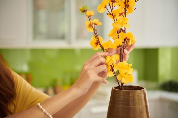 Housewife putting blooming apricot branches in vase when decorating house for tet