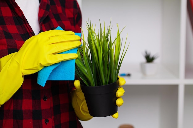 A housewife takes care of houseplants at home