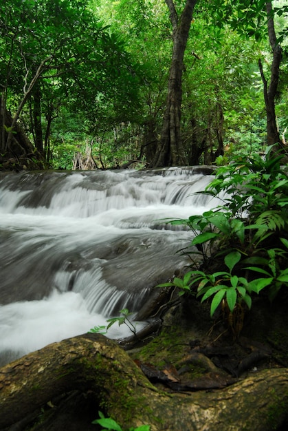 Huay Mae Kamin Waterfall in Khuean Srinagarindra National Park Kanchanaburi province Thailand