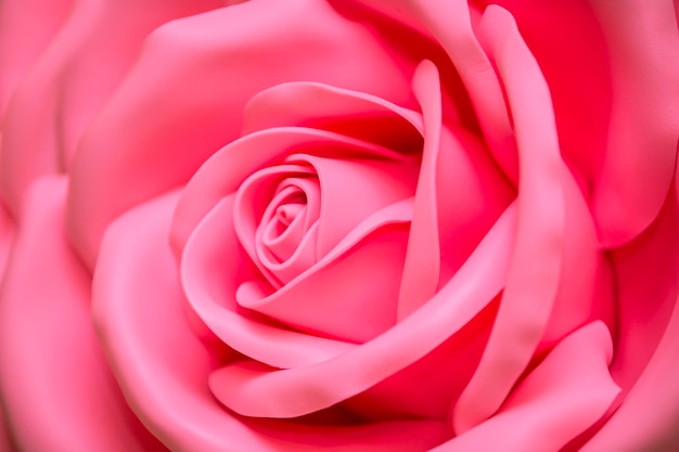 Huge Artificial Rose BackgroundPink flower close up