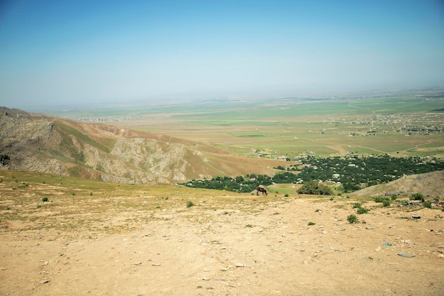 Huge plains in Central AsiaHuge plains in Central Asia