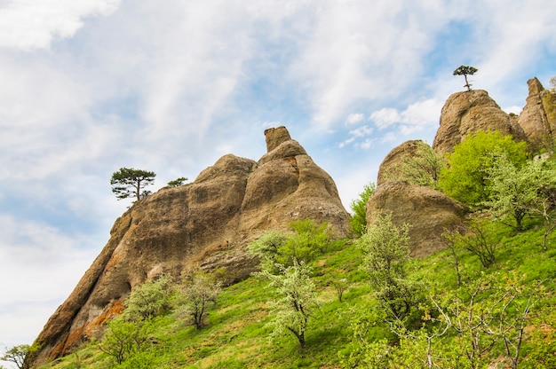 Huge stones covered with moss and trees on the side of the mountain