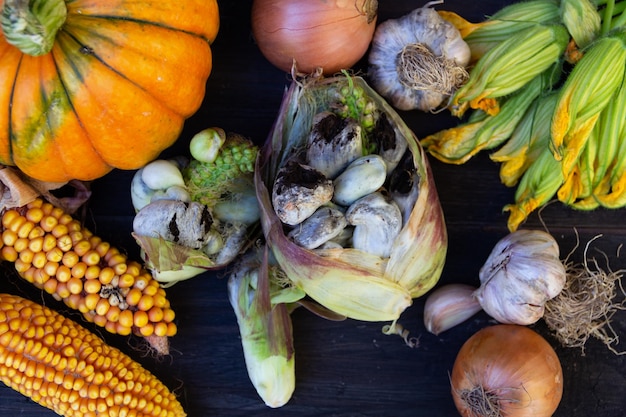 Huitlacoche with onions garlic pumpkin flowers and corn on rustic wood