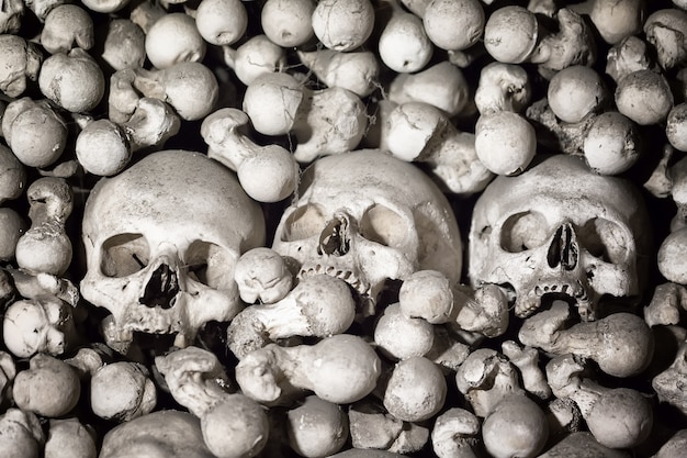 Human bones and skulls as a background