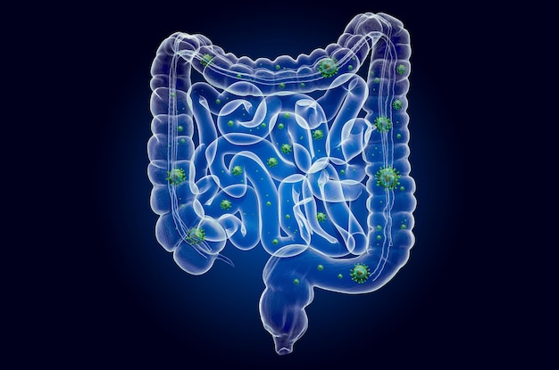 Human bowel with virus ghost light effect xray hologram 3D rendering