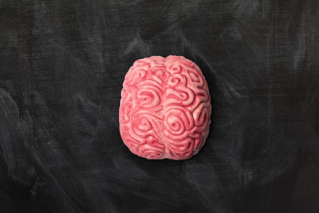 Human brain on a blackboard background with copy space