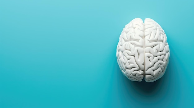 Human brain model on a blue background