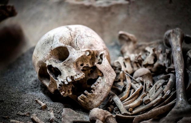 Human Death Skeleton Bones and Skull Photo