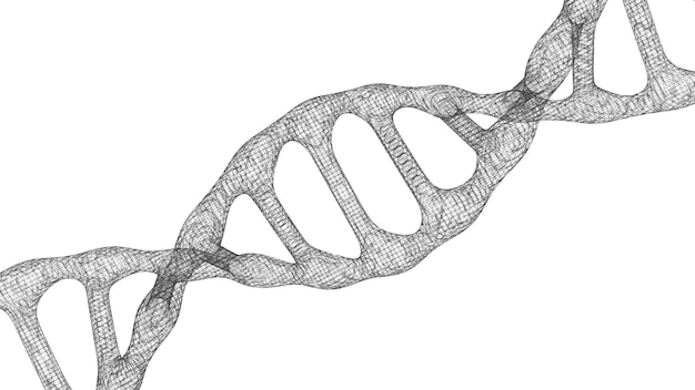 Human dna Biotechnology