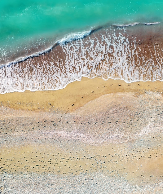 Human and dog footprints on a sandy shore along the sea aerial vertical shot directly above