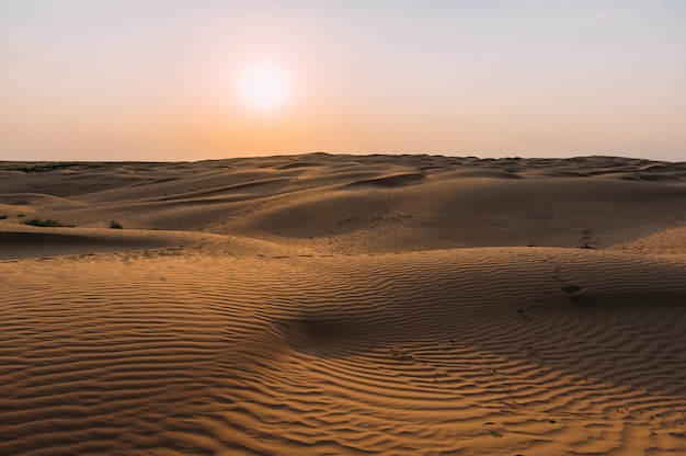 Human footprints in the sand in the desert