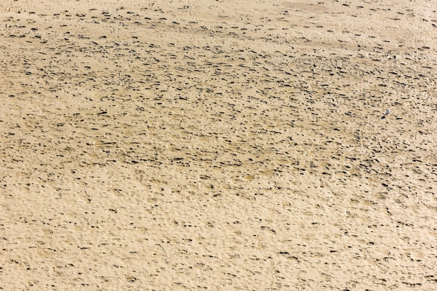 Human footprints on the sand of the sea bottom during a low tide