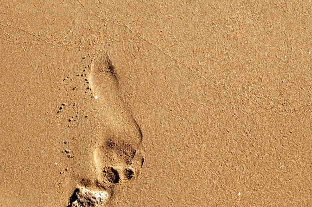 a human footsteps on a sandy beach. summer background