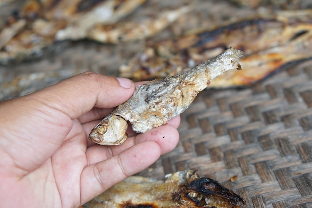 Photo human hand holding a fish