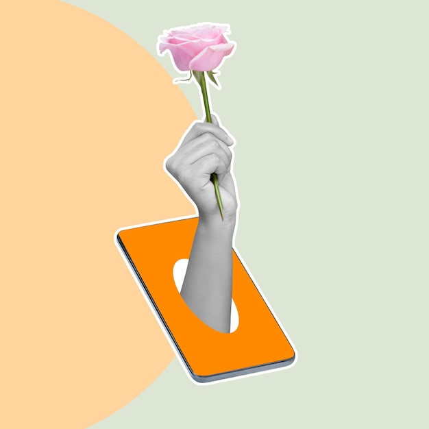 A human hand holding a pink rose flower through a mobile phone