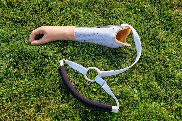 Human hand prosthesis lies on the grass