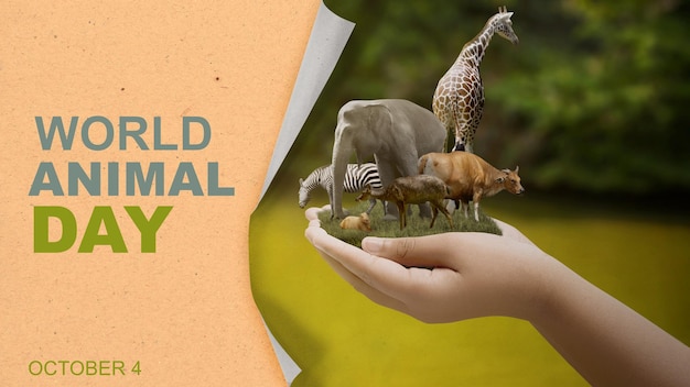 Human hand showing animals in the wildlife World Animal Day concept