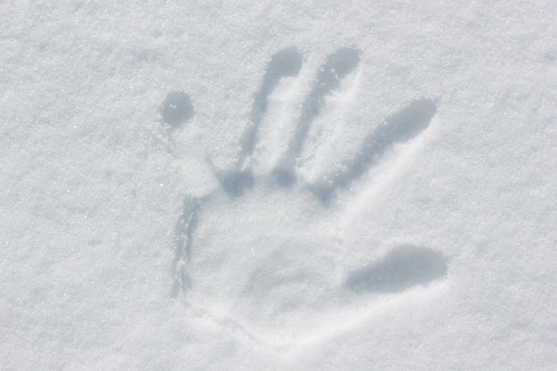 Human handprint in the snow