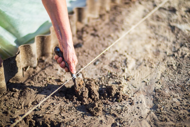 Human hands prepare the soil for planting crops in the garden Cultivated land close up Gardening concept Agriculture plants growing in bed row