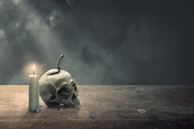 Human head skull on wooden table with centipede and candle