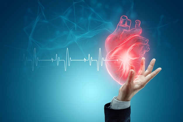 Human Heart hologram in hand and cardiogram line