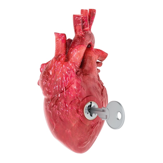 Human heart with key Research and diagnosis concept 3D rendering