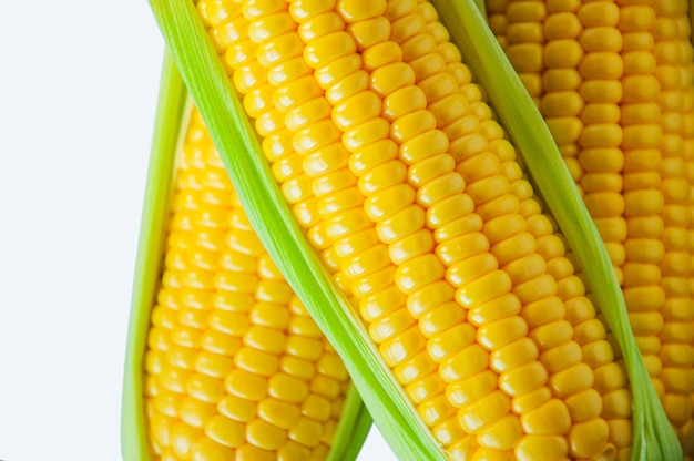 Human important staple food corn nutrition