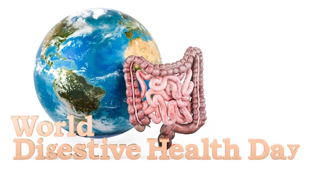 Human intestine with Earth Globe World Digestive Health Day concept 3D rendering