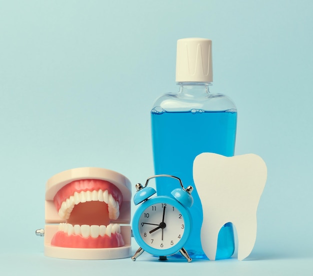 Human jaw model mouthwash and alarm clock on blue background oral hygiene